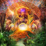 Circuits of the Imagination