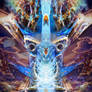 Bridge of Transcendence