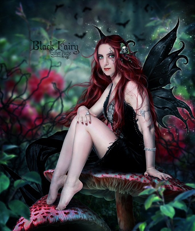 Black Fairy