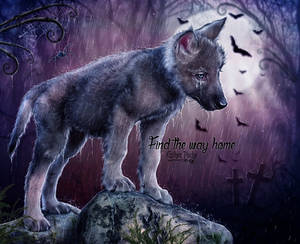 Find the way home by EstherPuche-Art Find the way home by EstherPuche-Art