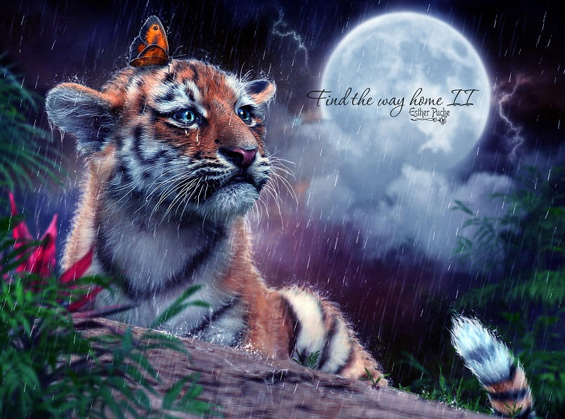 Find the way home II by EstherPuche-Art Find the way home II by EstherPuche-Art