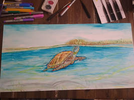 Sea Turtle Watercolor