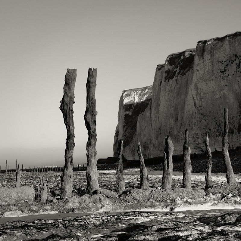 Poles on the Beach