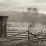 Old Fence