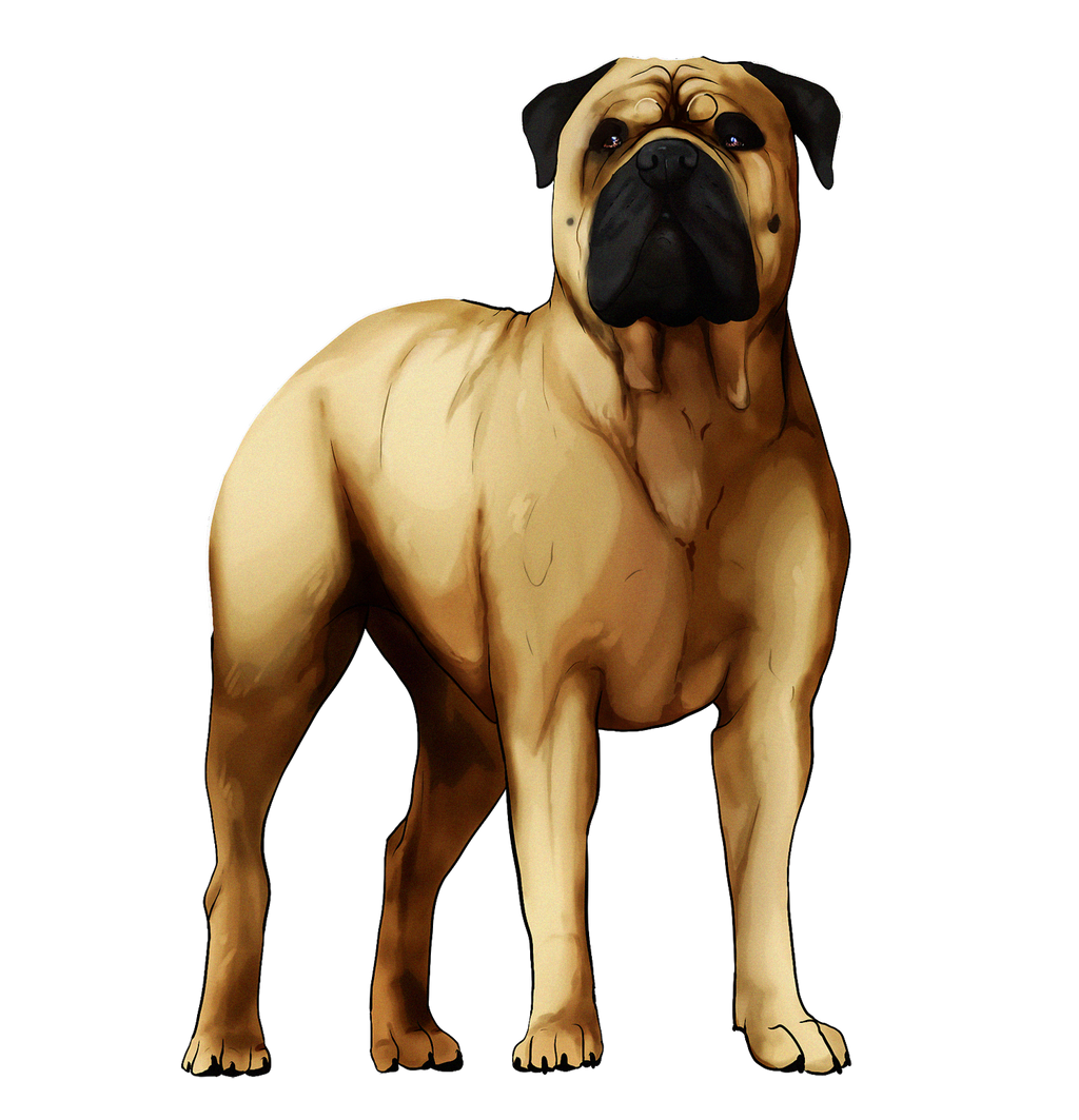 Bullmastiff art cheap