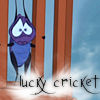 lucky cricket