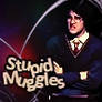 Stupid Muggles -- Harry, AVPM