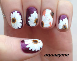 Daisies