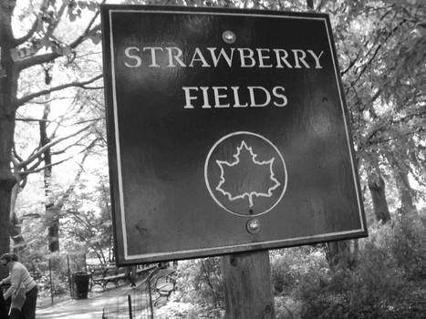 Strawberry Fields Forever