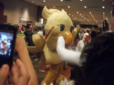 Akon '11 - Chocobo 2