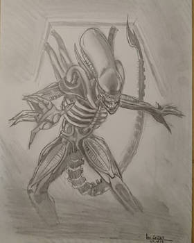 xenomorph 