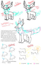 New Closed Species- Gemzelles **read description**