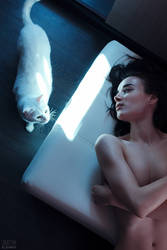Silver lining #1 by DmitryElizarov