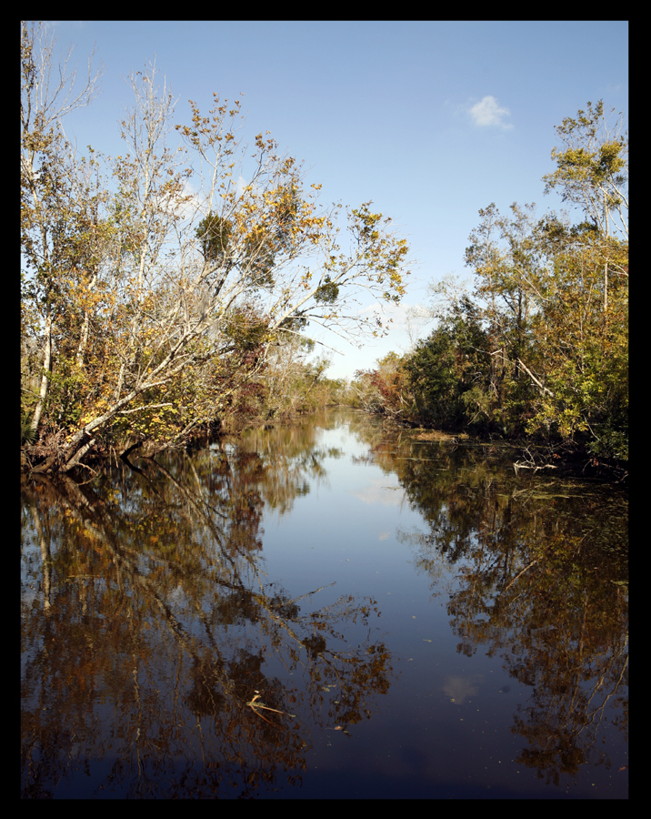 Canal Versus Bayou