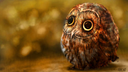 Owlie