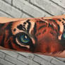 Tiger Feather coverup