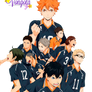 Karasuno [Render #6]