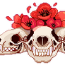 Marten Skull