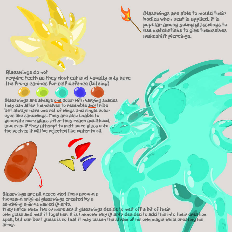Phantom Glasswing New Glasswings Ref by WoodSorrelDoodles on DeviantArt
