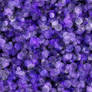 Bokeh seamless purple background lights