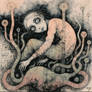Zygote