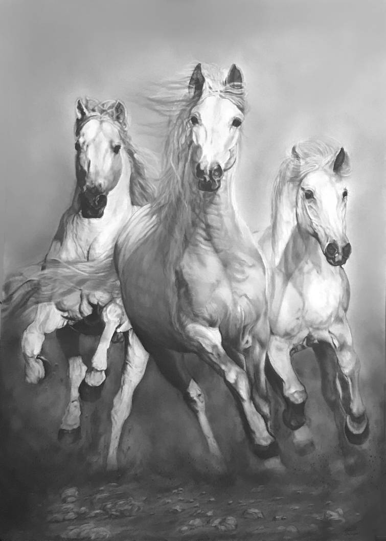 running horses charcoal drawing (100*70)cm by fatemegholampour on ...
