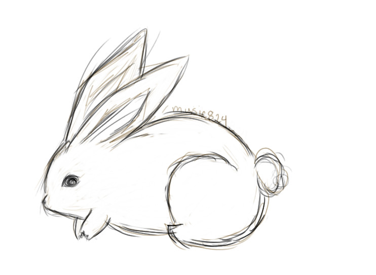 Quick Bunny Sketch