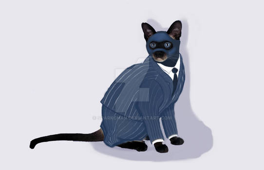 BLU Spy-amese Cat