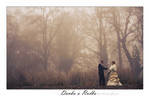 Fog's love by Andre99