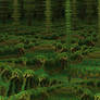 Amazing Forrest