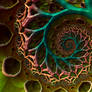 Lateralus