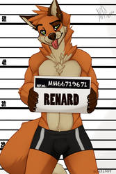 Renard