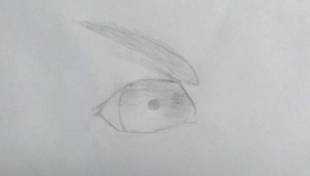 Practice KH eye: draft 1.