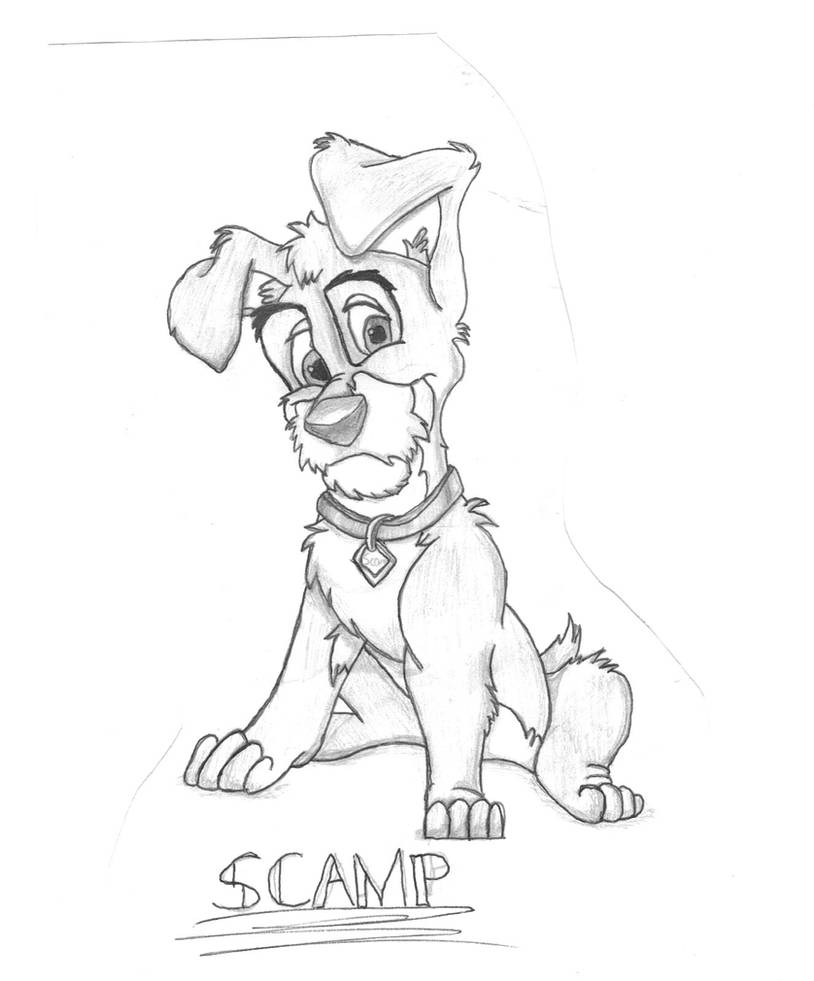 Scamp Lady and the Tramp 2 by Spazz12 on DeviantArt
