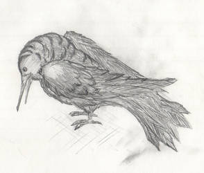Sketched Crow