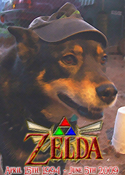 Zelda (My Dog)