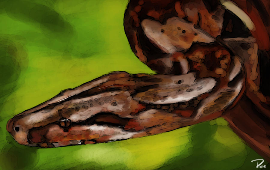 Constrictor Respect Thread Constrict by VagueVoices on DeviantArt