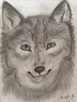 Another wonky wolf :D