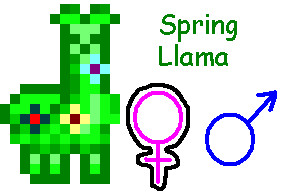 Llama Collection: Spring Llama