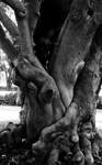 Embrace me.... by KDMB