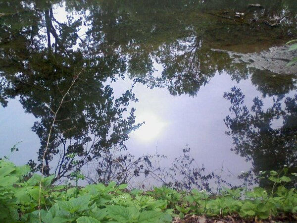 Sunny Reflection A Sunny Reflection by Mikoroh on DeviantArt