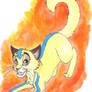 Aang Cat