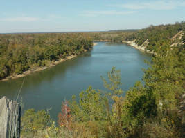 Apalachicola River