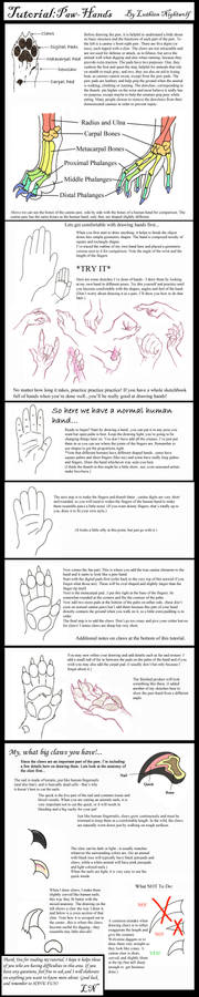 Paw-Hand Tutorial