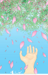 Raining Sakura Colour