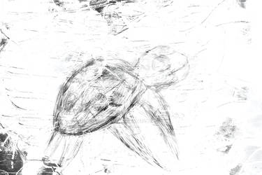 Turtle Sketch (B/W Illustration)