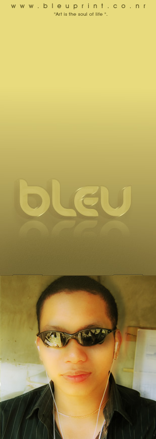 bleu id 2007