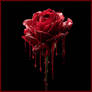 Bloody Red Rose