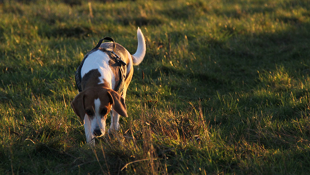 Tina Approaching