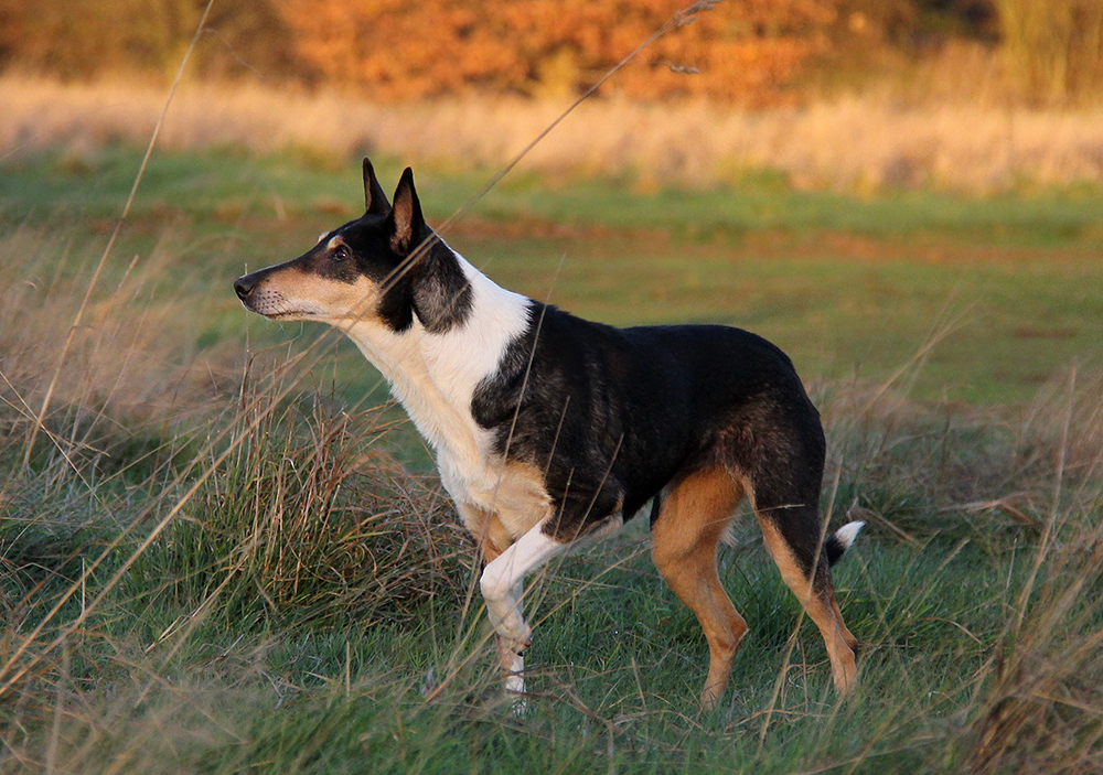 Waiting for the ball to fly by Laoki